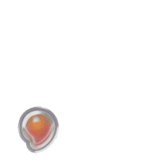 245