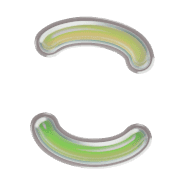 010