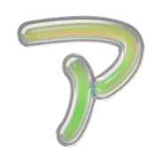 081