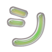 092