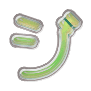 142