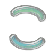 010