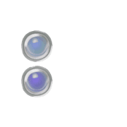 244
