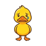 017