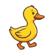 029