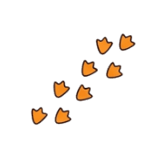 017
