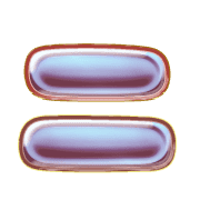 102