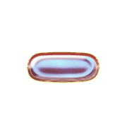 161