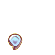 245