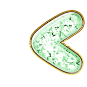 248