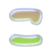 010