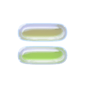 239