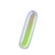 247