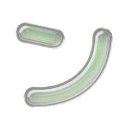 126