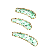 112