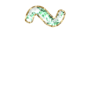 224