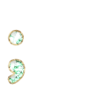 243