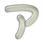 081