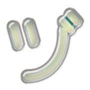 148