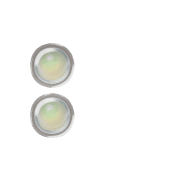 244