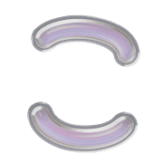 010