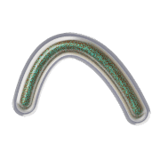 029