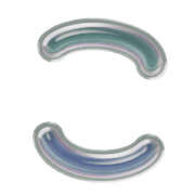 010
