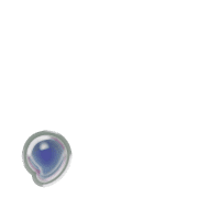 245