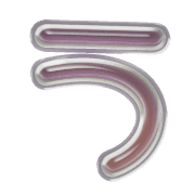 003