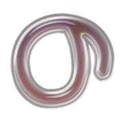 025