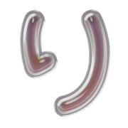 040