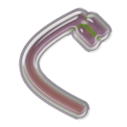 058