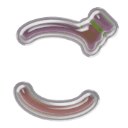 060