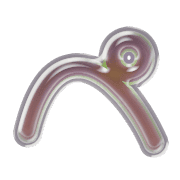 079