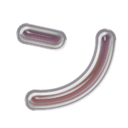 126