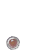 246