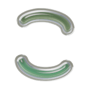 010