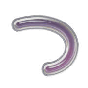 018