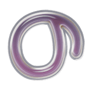 025