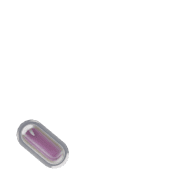 256