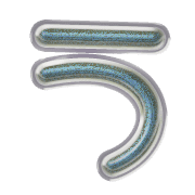 003
