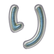 040