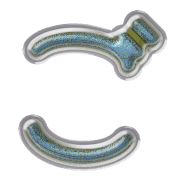 060