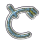 070