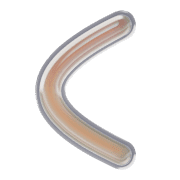 008
