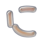 022