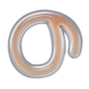 025