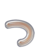 052