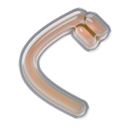 058