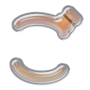 060